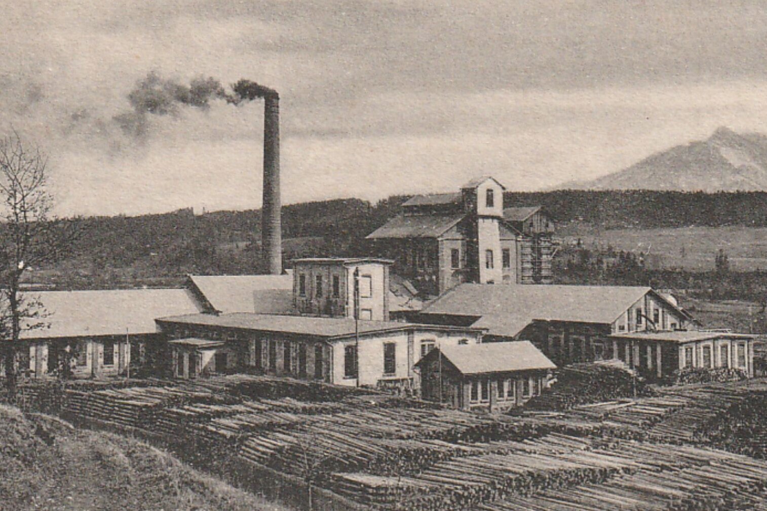 Cellulosefabrik St. Magdalen ca. 1905 Postkarte Cellulosefabrik St. Magdalen