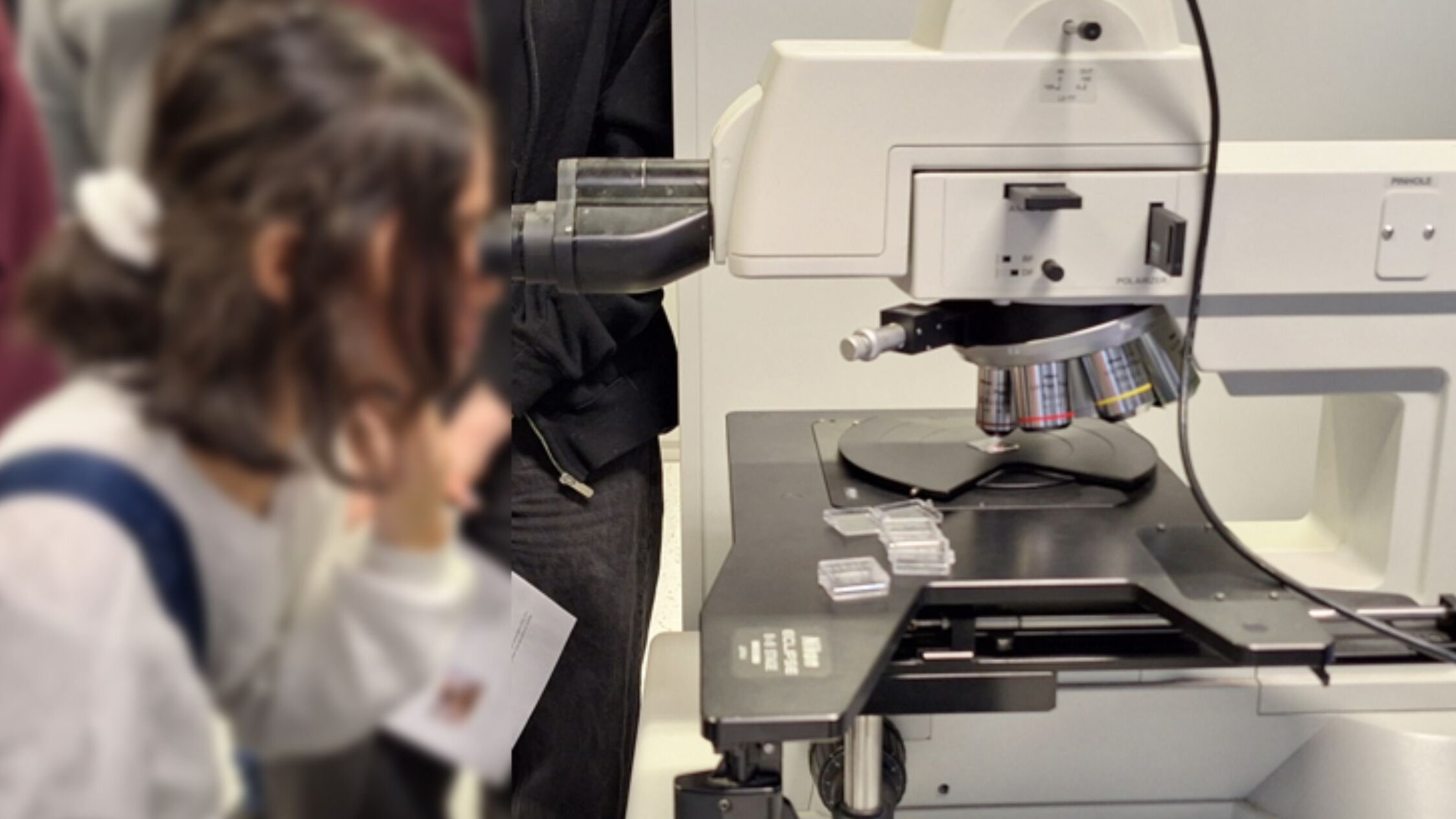 Mädchen blickt durch Mikroskop