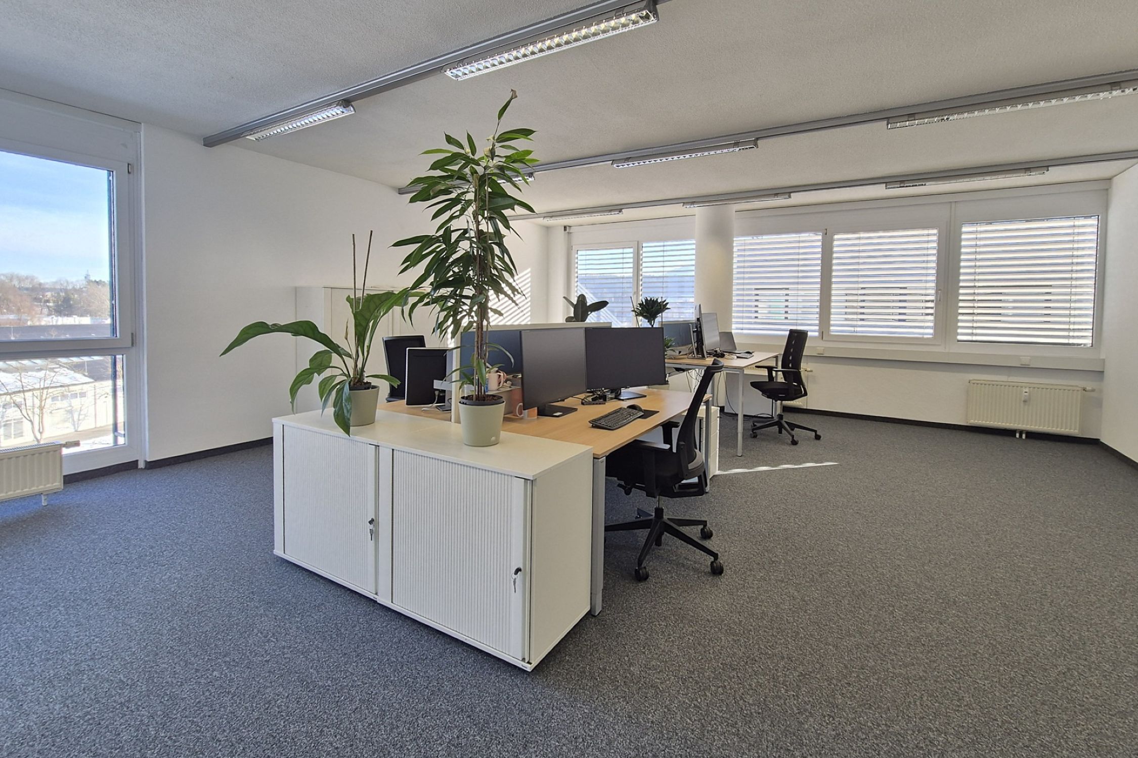 Working at EXTOLL Open-plan office with multiple workstations